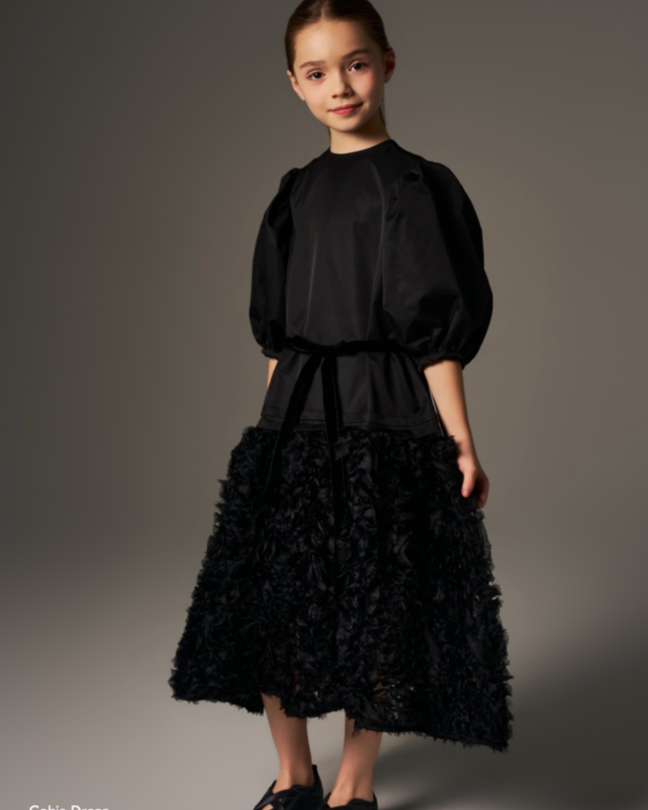 Gabie Black Taffeta Dress