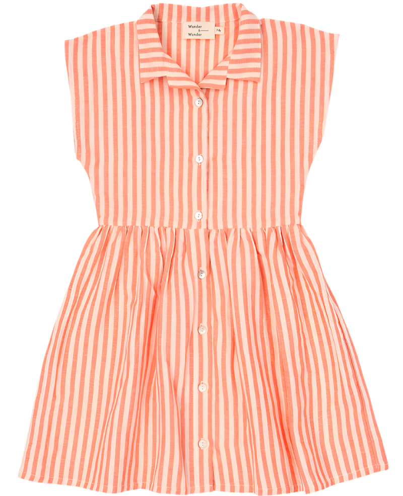 Coral Stripe Vintage Shirt Dress