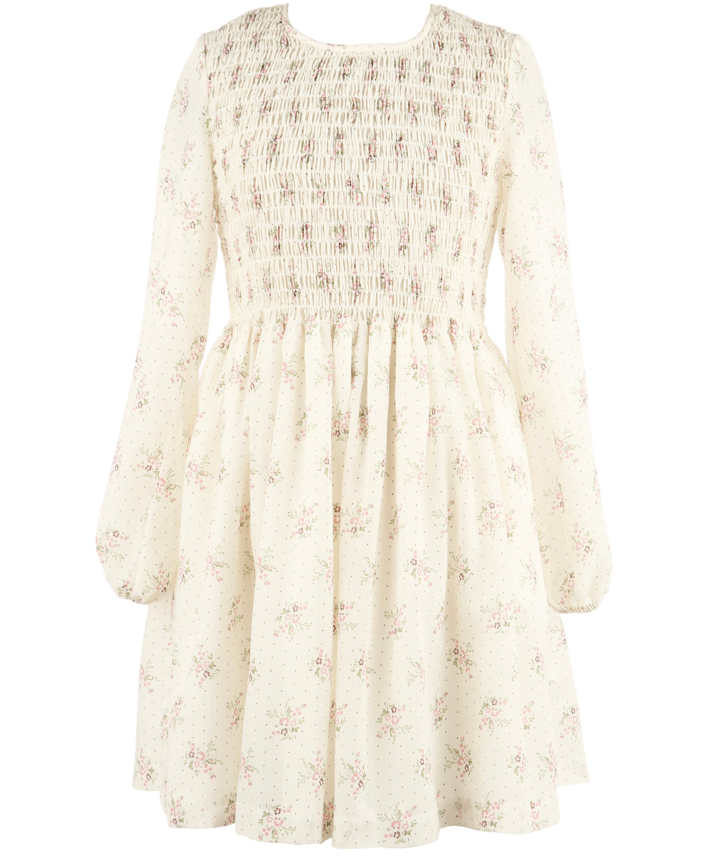 Cream Sheer Bouquet Print Dress