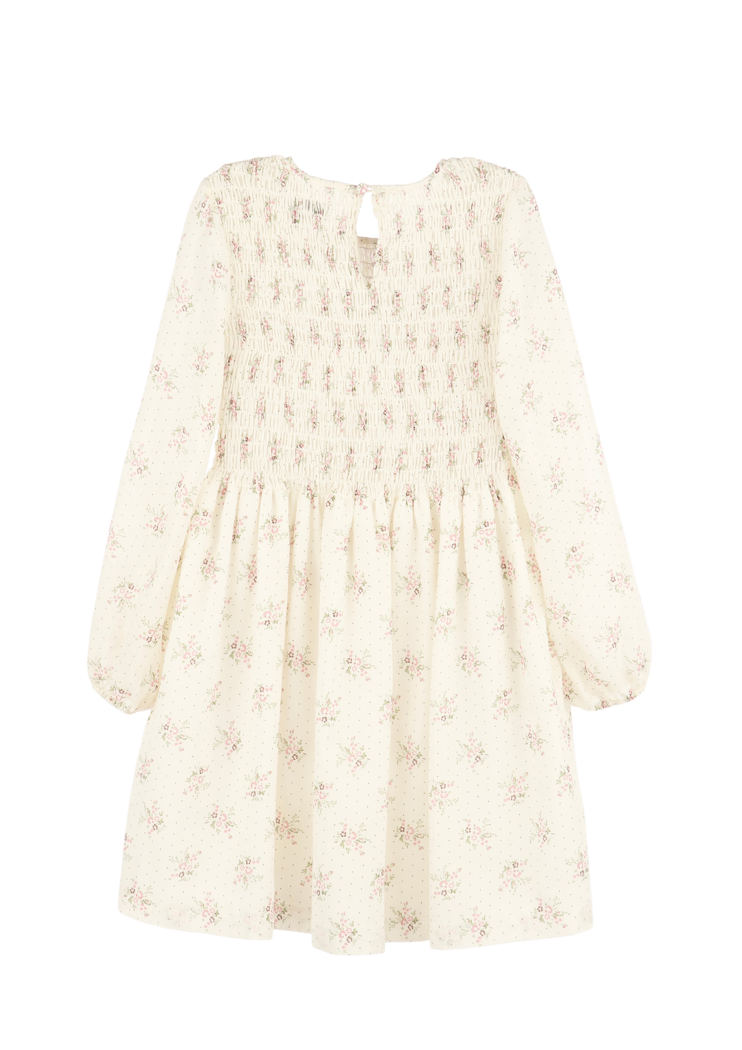 Cream Sheer Bouquet Print Dress