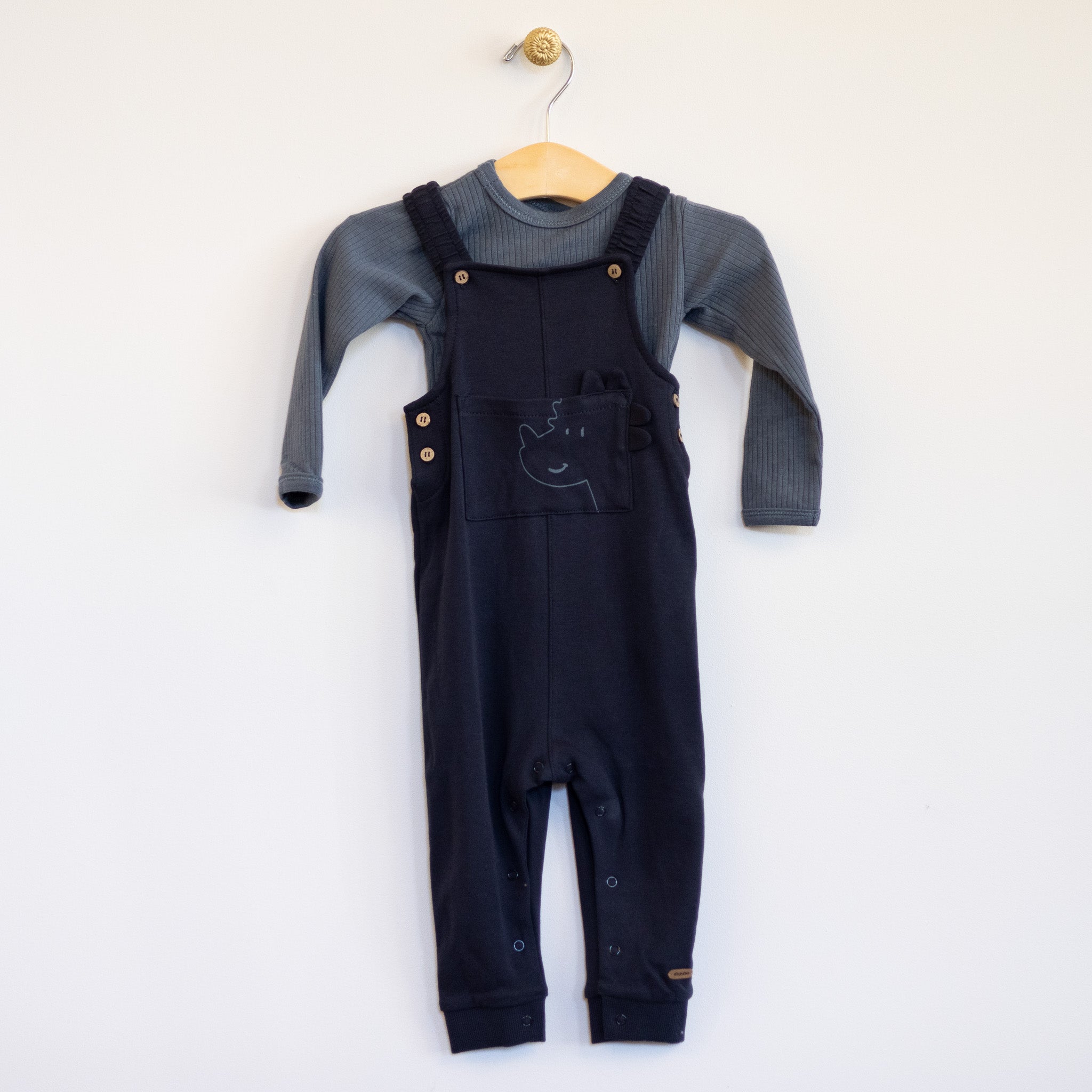 Navy Knit Dino Overall and Tee