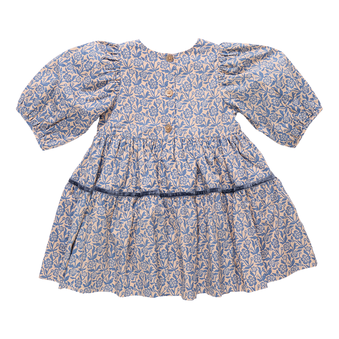 Pink Chicken Blue Climbing Floral Dress